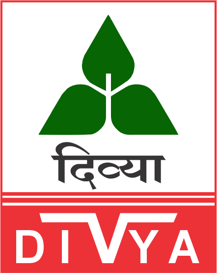 Divya Seeds Company Logo